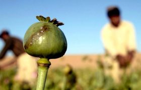 کشف ۵۷ کیلوگرم تریاک جاساز شده در قوطی‌های چسب