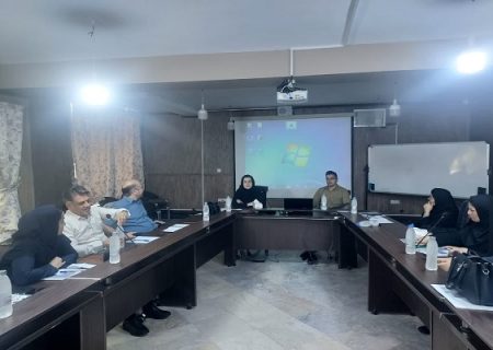 برگزاری کارگاه آموزشی تسهیلگران برنامه پیشگیری از اعتیاد در محلات آسیب‌خیز