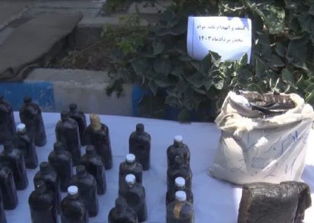 ۱۶۵ معتاد متجاهر در مشهد جمع‌آوری شدند