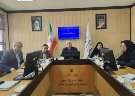 طرح‌های اشتغالزای سازمان‌های مردم نهاد خراسان جنوبی حمایت می‌شوند