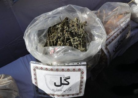 کشف ۱۴ کیلوگرم ماده روانگردان گُل در شرق پایتخت