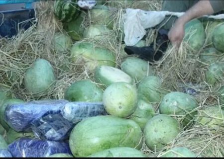کشف ۲۰۰ کیلو تریاک در بار هندوانه