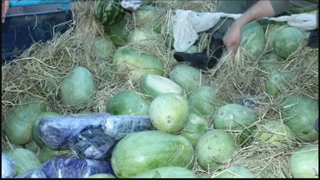 کشف ۲۰۰ کیلو تریاک در بار هندوانه
