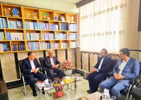 تأکید بر استفاده موثر از ظرفیت خانه یاریگران زندگی در حوزه پیشگیری از اعتیاد