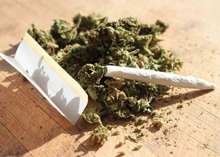 انهدام باند خانوادگی فروش هروئین در شرق پایتخت/کشف ۱۷ کیلو ماده مخدر گُل