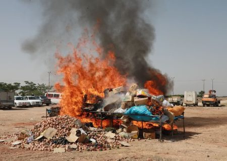 یک تن موادمخدر در همدان نابود شد