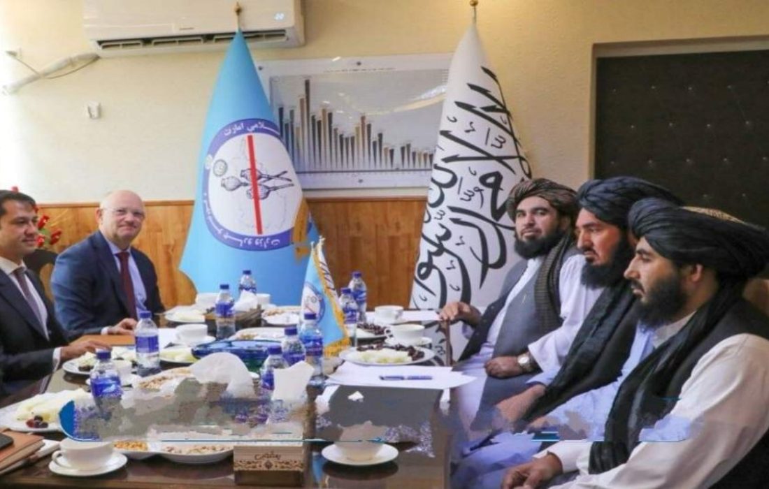 طالبان خواستار همکاری سازمان ملل در مبارزه با مواد مخدر در افغانستان شد