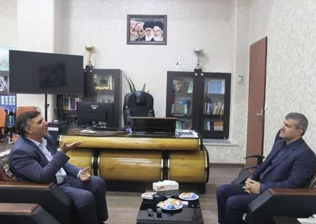 دهکده تندرستی تحولی بزرگ در ارتقای سلامت اجتماعی کرمان ایجاد می کند