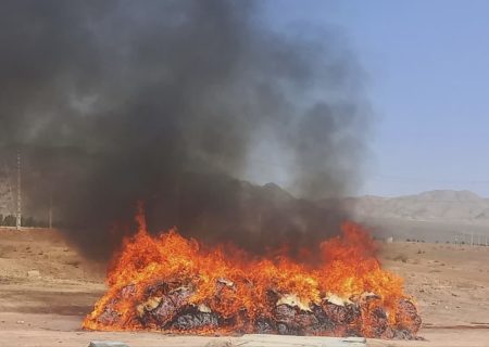 بیش از ۲ تن مواد مخدر در غرب استان تهران امحا شد
