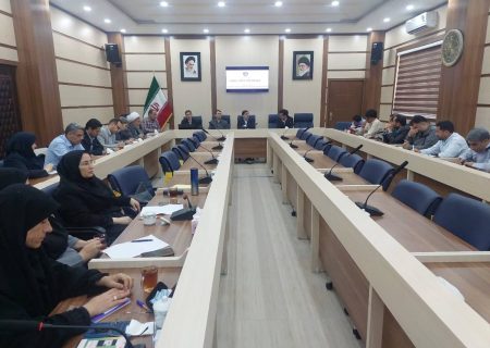 تدوین سند جامع پیشگیری از اعتیاد خراسان شمالی در مرحله پایانی