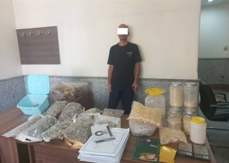 دستگیری موادفروشی با ۲۰۰۰ فالوئر در اینستاگرام/ کشف ۱۷ کیلو قارچ سمی توهم‌زا