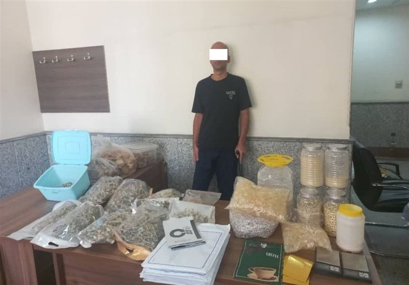 دستگیری موادفروشی با ۲۰۰۰ فالوئر در اینستاگرام/ کشف ۱۷ کیلو قارچ سمی توهم‌زا