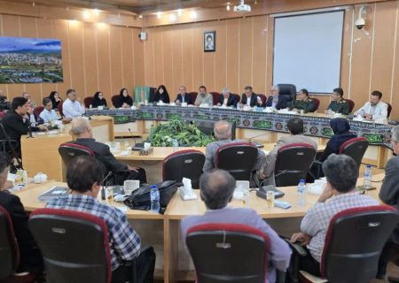 سمن‌ها، بازوان اجرایی دولت در کنترل آسیب‌های اجتماعی و پلی میان مردم و دولت هستند