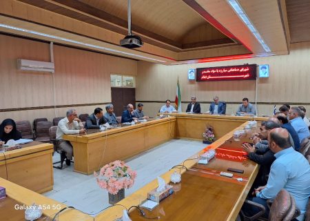 تقویت کارکرد پیشگیرانه و نظارتی در مقابله با عرضه داروهای مخدر و روان گردان