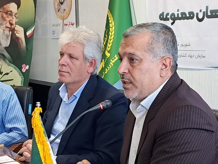 عزم جدی برای مقابله با کشت‌های ممنوعه در کرمانشاه