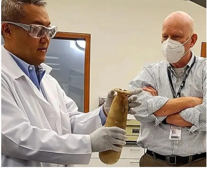 کشف کوزه باستانی حاوی مواد مخدر در مصر!