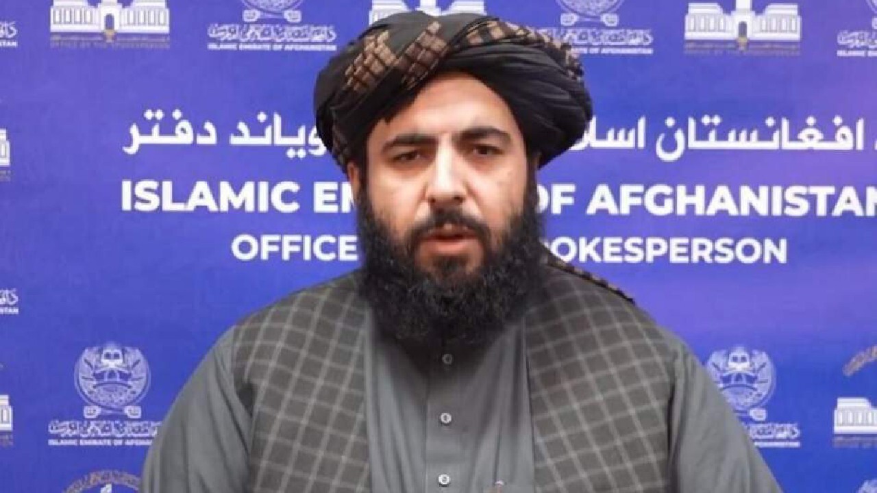 واکنش منفی طالبان به گزارش سازمان ملل؛ خشخاش کاهش ۹۹ درصدی داشته است