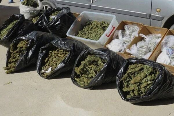 بزرگ‌ترین محموله ماری‌جوانا سال در شهرستان ری کشف شد