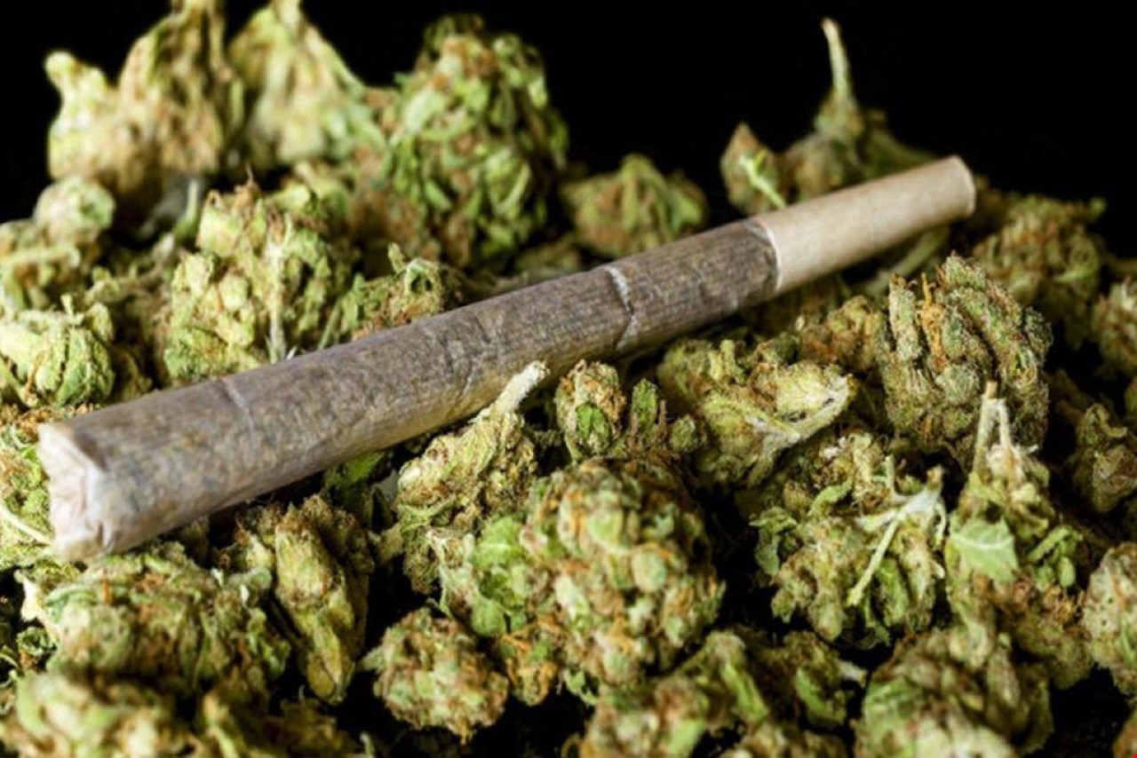 اثرات مخرب ماده اعتیادآور گل در ایران از تمام مخدرهای دیگر بالاتر است/ گل موجود در ایران با قارچ و کپک مخلوط شده است