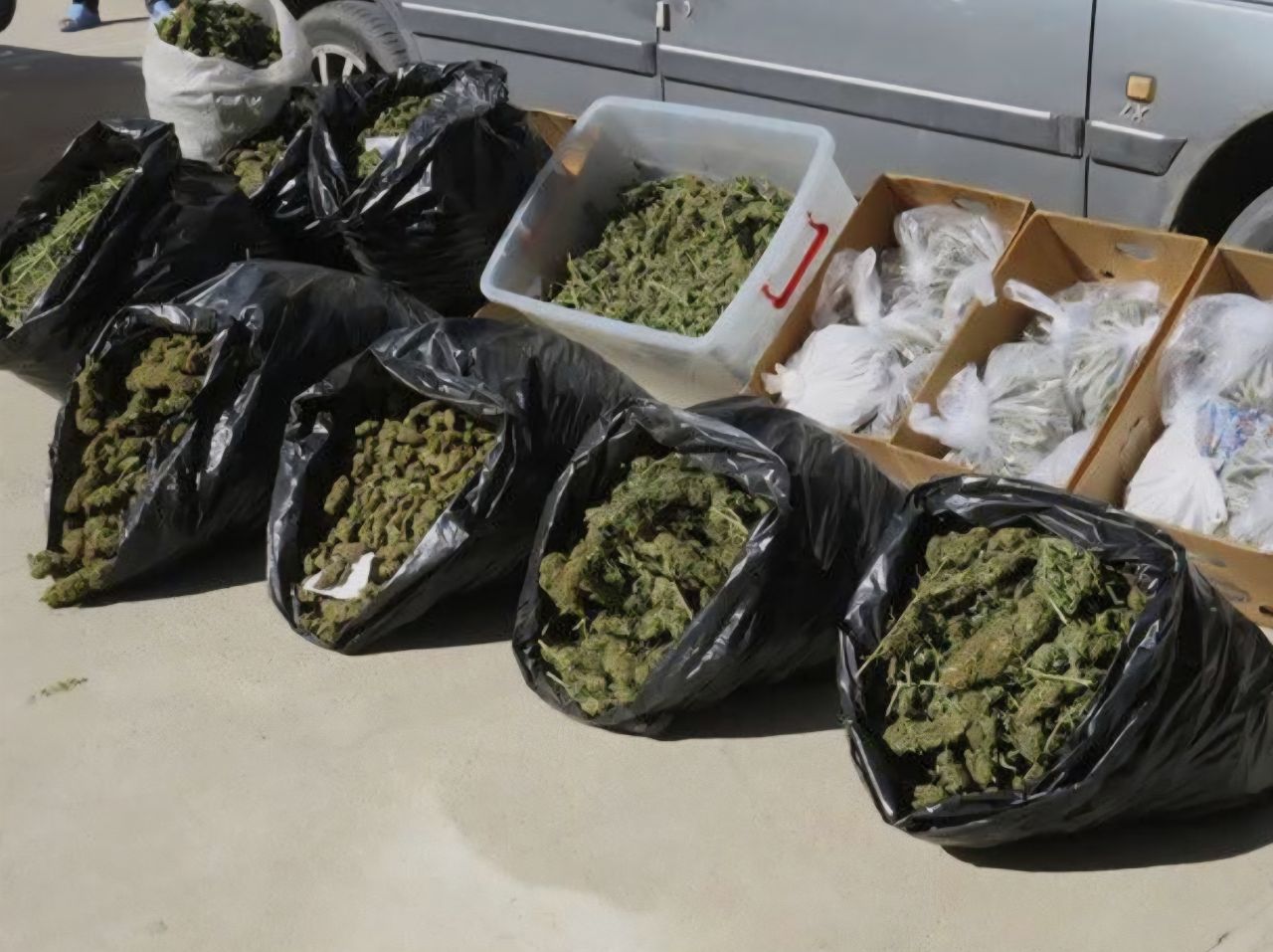 کشف ۱۰۰ کیلو مواد روانگردان گل در عملیات مشترک پلیس پایتخت و لرستان