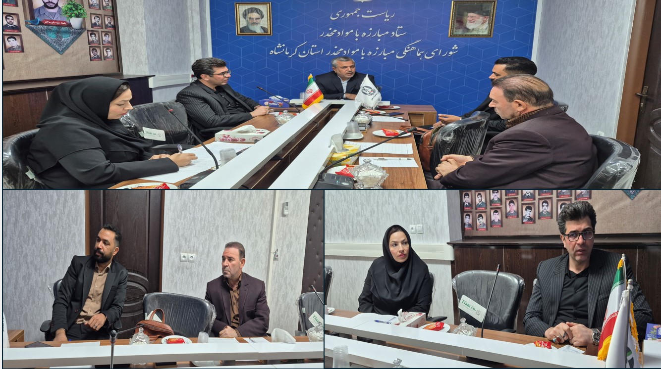 نقش سازمانهای مردمنهاد مرتبط با مبارزه با موادمخدر در صیانت از بهبودیافتگان