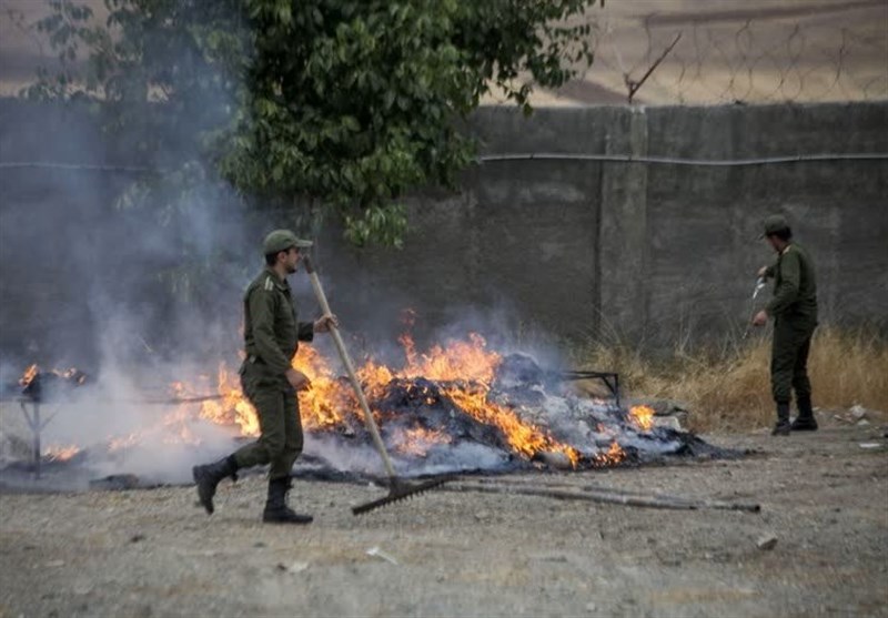 امحای ۶۶۰ کیلوگرم انواع مواد مخدر در کرمانشاه