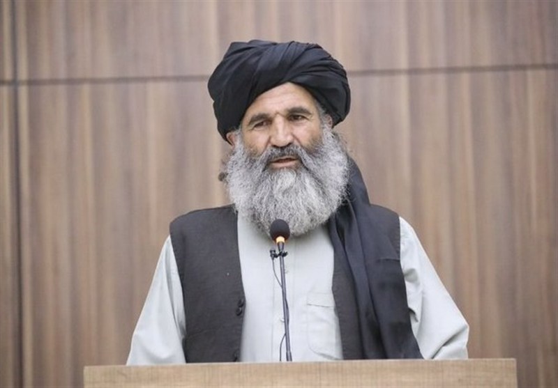 طالبان: کشورهای منطقه برای کشت جایگزین خشخاش همکاری کنند