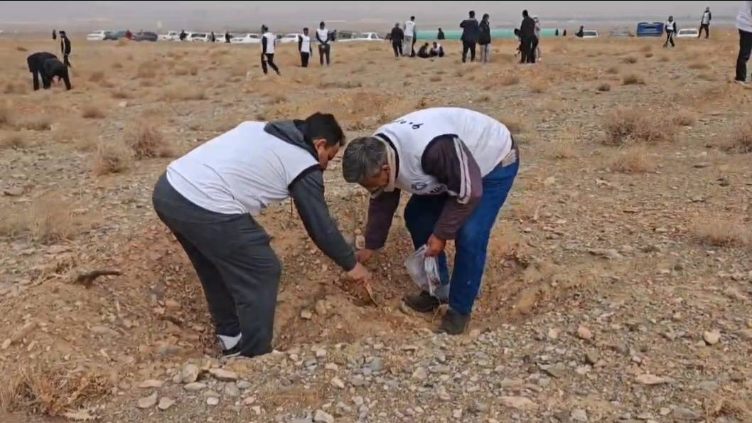 برگزاری اردوی درخت‌کاری با هدف بیابان‌زدایی