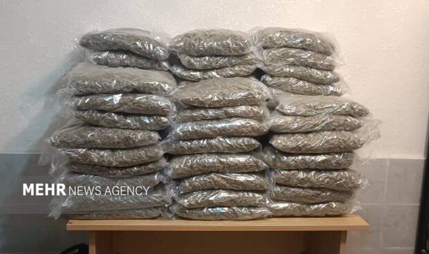 کشف ۱۰۰ کیلو گرم مواد مخدر از نوع گل در آستارا