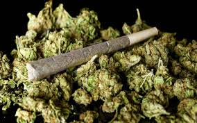 گل فروش محله نظام‌آباد تهران با ۱۸ کیلوگرم روان‌گردان بازداشت شد