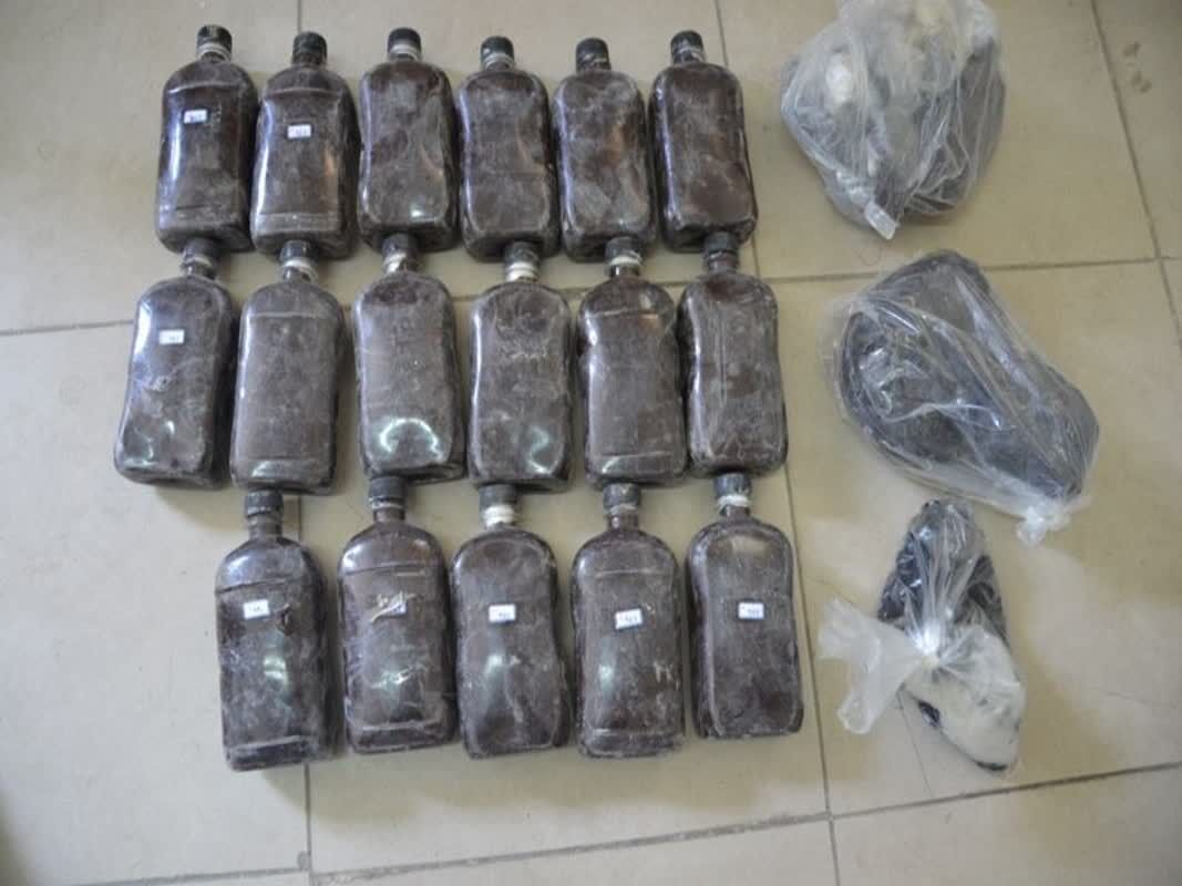 کشف ۵۵ کیلو تریاک در خلیل‌آباد