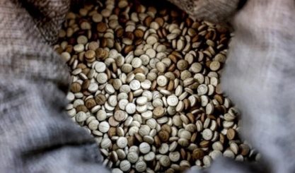 خنثی‌سازی قاچاق ۶۰ هزار قرص کپتاگون به عراق