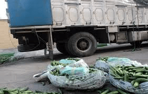 خیار سبز با طعم تریاک! / ناکامی سوداگران مرگ در انتقال محموله ۳۴ کیلویی مواد مخدر در رودان