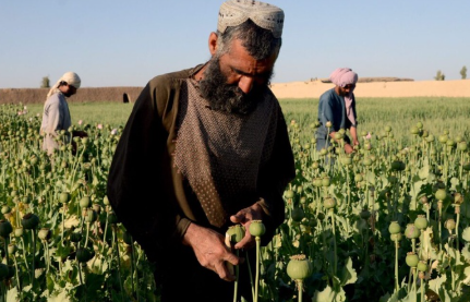 استقبال طالبان از سخنان دبیر شورای امنیت ملی روسیه درباره مبارزه با موادمخدر در افغانستان