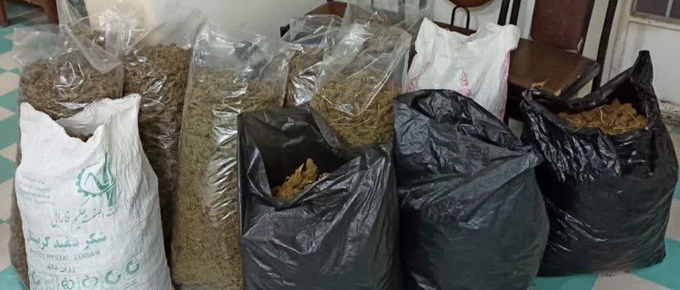کشف ۷۰ کیلوگرم مواد مخدر گراس (گل) توسط پلیس شوشتر